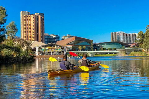 Adelaide City Kayak Tour - Accommodation Gladstone 3