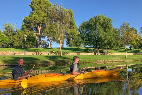 Adelaide City Kayak Tour - Accommodation Gladstone 4