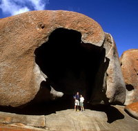 Full-Day Kangaroo Island Safari from Penneshaw - Accommodation Gladstone