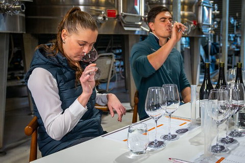 Winemaker Experience - Accommodation Gladstone 1