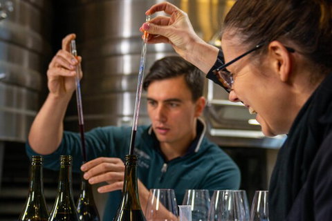 Winemaker Experience - Accommodation Gladstone 2