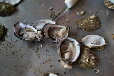 Fine Flavours - Full Day Kangaroo Island Food & Wine Tour - Accommodation Gladstone 10