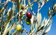 Fine Flavours - Full Day Kangaroo Island Food & Wine Tour - thumb 3