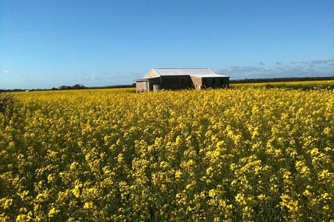 Fine Flavours - Full Day Kangaroo Island Food & Wine Tour - Accommodation Gladstone 11
