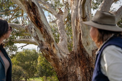 NEW TOUR - Kangaroo Island Road To Recovery Tour (1 Day/1 Night) - Accommodation Gladstone 2