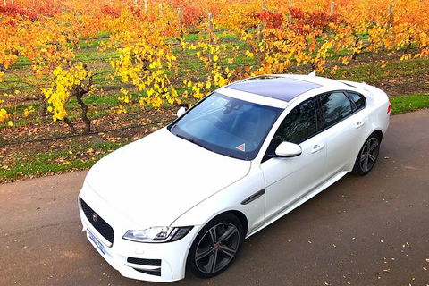 Luxury Jaguar Barossa Valley Half Day Private Tour For 2 - Accommodation Gladstone 2