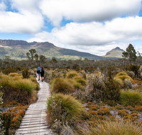 Cradle Mountain Day Tour - Accommodation Gladstone