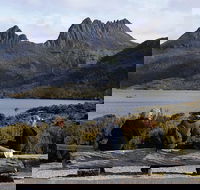 Cruise Ship Special from Burnie to Cradle Mountain - Accommodation Gladstone