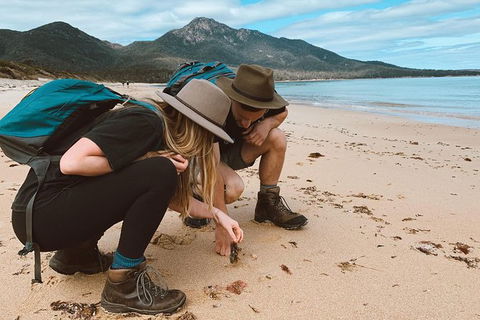Freycinet Walking Tour - Accommodation Gladstone 0