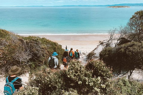 Freycinet Walking Tour - Accommodation Gladstone 2