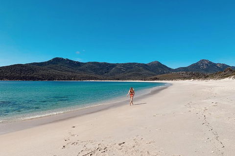 Freycinet Walking Tour - Accommodation Gladstone 5