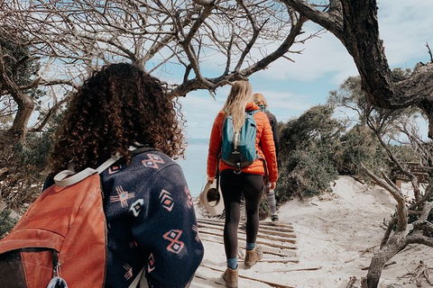 Freycinet Walking Tour - Accommodation Gladstone 6