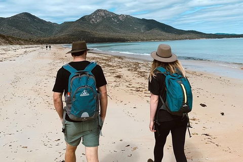 Freycinet Walking Tour - Accommodation Gladstone 7