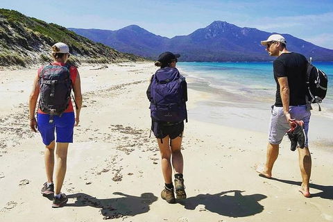 Freycinet Walking Tour - Accommodation Gladstone 1