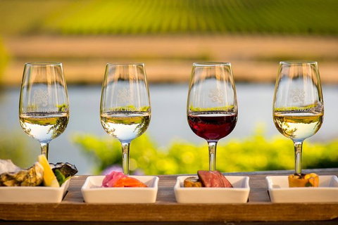Launceston Wine & Sightseeing Tours - Accommodation Gladstone 4