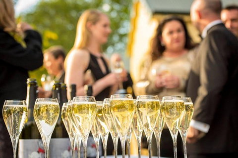 Launceston Wine & Sightseeing Tours - Accommodation Gladstone 7