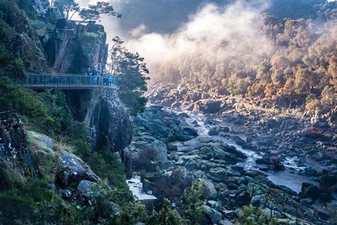 3.5 Hours Walking Tour To Cataract Gorge With Local Guide - Accommodation Gladstone 0