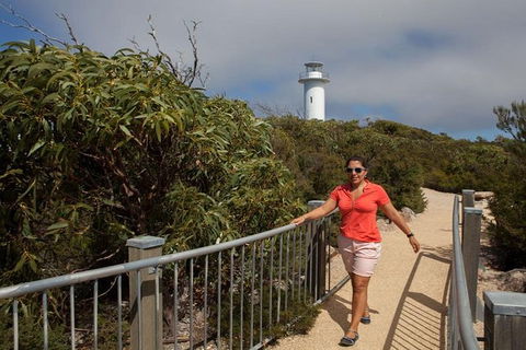 Half-Day Tour To Wineglass Bay From Launceston With Guide - Accommodation Gladstone 2