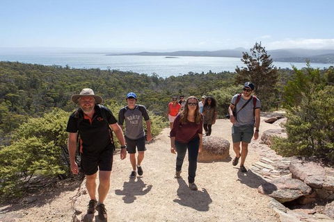 Half-Day Tour To Wineglass Bay From Launceston With Guide - Accommodation Gladstone 4