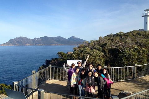 Half-Day Tour To Wineglass Bay From Launceston With Guide - Accommodation Gladstone 3