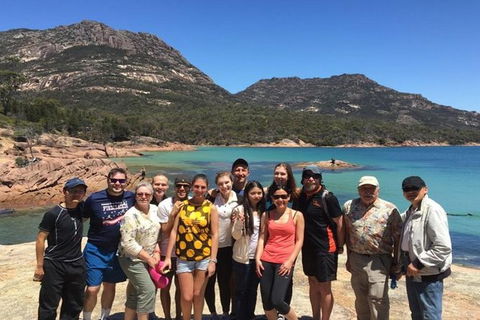 Half-Day Tour To Wineglass Bay From Launceston With Guide - Accommodation Gladstone 0