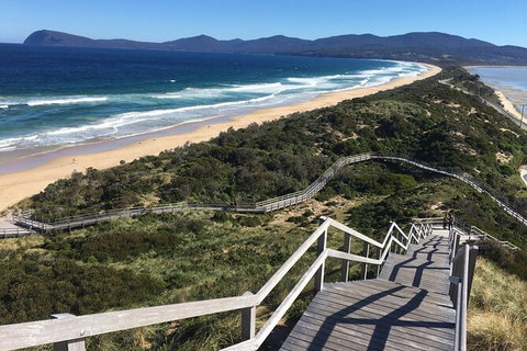 4-Day Fabulous Tasmania Tour: Wineglass Bay, Port Arthur, Devils & Bruny Island - Accommodation Gladstone 3