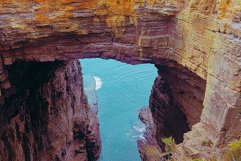 4-Day Fabulous Tasmania Tour: Wineglass Bay, Port Arthur, Devils & Bruny Island - Accommodation Gladstone 6