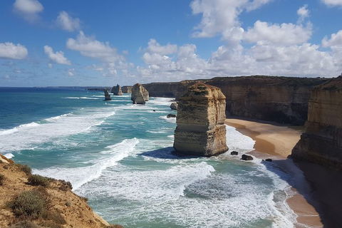 Private Great Ocean Road Day Trip From Melbourne - Accommodation Gladstone 6