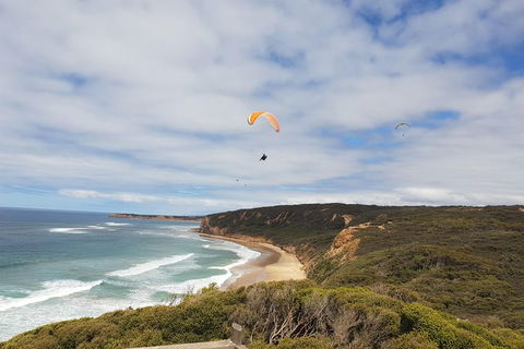 Private Great Ocean Road Day Trip From Melbourne - Accommodation Gladstone 2