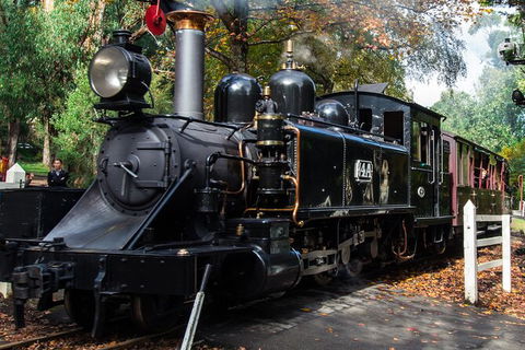 Puffing Billy And Healesville Sanctuary Scenic Tour - Accommodation Gladstone 1