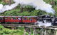 Puffing Billy And Healesville Sanctuary Scenic Tour - thumb 0