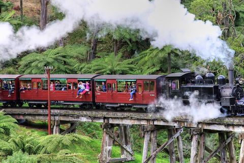 Puffing Billy And Healesville Sanctuary Scenic Tour - Accommodation Gladstone 0