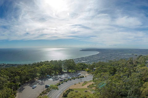 Peninsula Nature Tour - Accommodation Gladstone 8