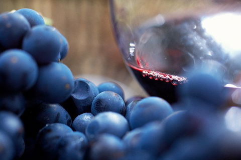 Mornington Peninsula 2-6 Guests Lunch Rare Hare Or Merricks General Wine Store - Accommodation Gladstone 7