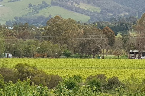 Day Tour Of Yarra Valley Puffing Billy And Rayners Orchard - Accommodation Gladstone 44