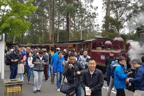 Day Tour Of Yarra Valley Puffing Billy And Rayners Orchard - Accommodation Gladstone 3