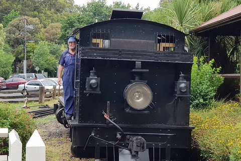 Day Tour Of Yarra Valley Puffing Billy And Rayners Orchard - Accommodation Gladstone 11