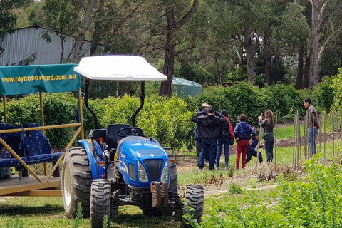 Day Tour Of Yarra Valley Puffing Billy And Rayners Orchard - Accommodation Gladstone 10