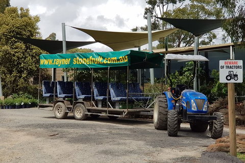 Day Tour Of Yarra Valley Puffing Billy And Rayners Orchard - Accommodation Gladstone 17