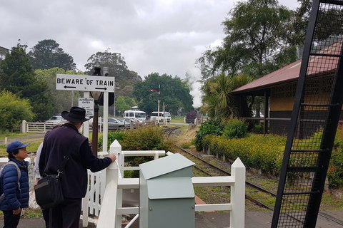 Day Tour Of Yarra Valley Puffing Billy And Rayners Orchard - Accommodation Gladstone 39
