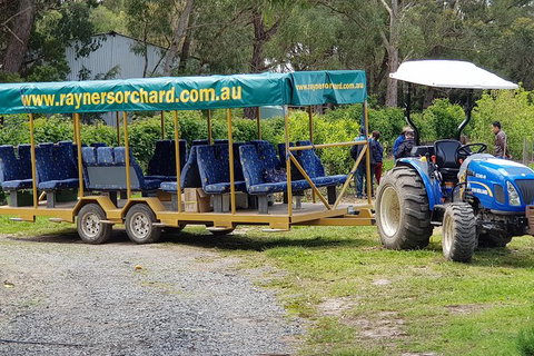 Day Tour Of Yarra Valley Puffing Billy And Rayners Orchard - Accommodation Gladstone 48
