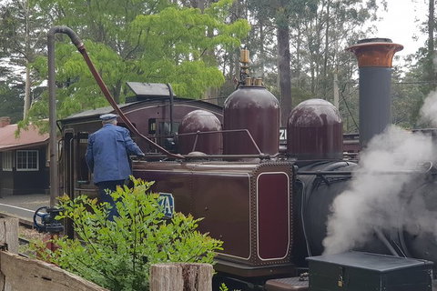 Day Tour Of Yarra Valley Puffing Billy And Rayners Orchard - Accommodation Gladstone 5