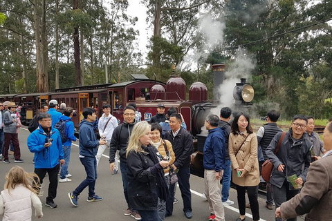 Day Tour Of Yarra Valley Puffing Billy And Rayners Orchard - Accommodation Gladstone 18