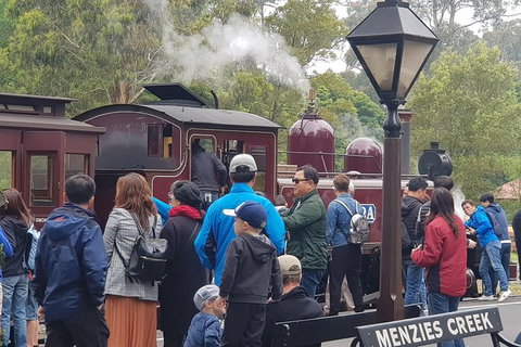 Day Tour Of Yarra Valley Puffing Billy And Rayners Orchard - Accommodation Gladstone 40