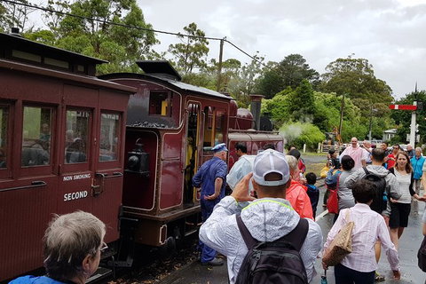 Day Tour Of Yarra Valley Puffing Billy And Rayners Orchard - Accommodation Gladstone 23