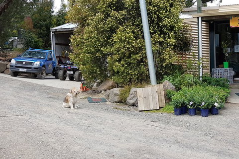 Day Tour Of Yarra Valley Puffing Billy And Rayners Orchard - Accommodation Gladstone 6