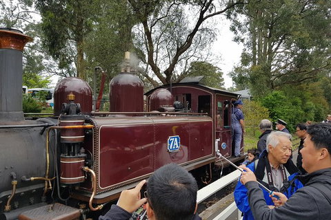Day Tour Of Yarra Valley Puffing Billy And Rayners Orchard - Accommodation Gladstone 28
