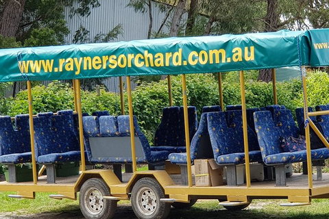 Day Tour Of Yarra Valley Puffing Billy And Rayners Orchard - Accommodation Gladstone 33