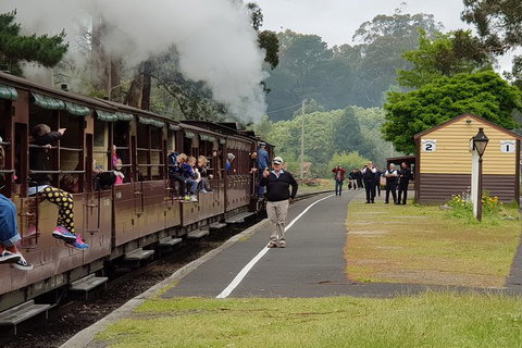 Day Tour Of Yarra Valley Puffing Billy And Rayners Orchard - Accommodation Gladstone 0