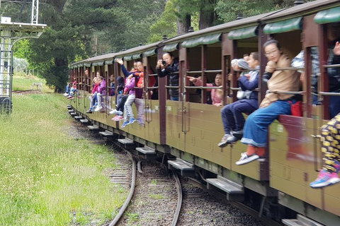 Day Tour Of Yarra Valley Puffing Billy And Rayners Orchard - Accommodation Gladstone 13